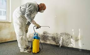 Best Emergency Mold Remediation  in Milan, OH