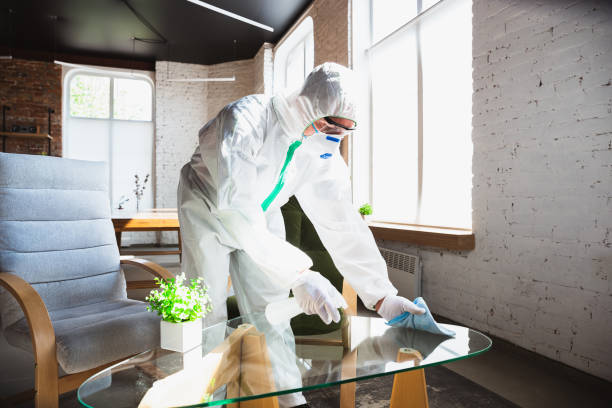 Best Commercial Mold Inspection  in Milan, OH