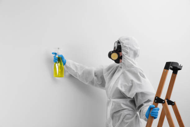 Best Mold Prevention Services  in Milan, OH